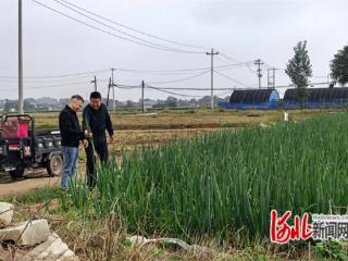 元氏县东张乡：“三秋”部署强指引 干部助农解民忧
