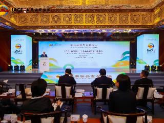 当世界目光聚焦洛阳：古都新生，洛阳怎么YOUNG