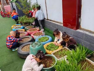 泰安市岱岳区山口镇新庄幼儿园开展分龄节粮实践活动