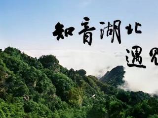 “用英语讲好武当故事”全国青少年才艺大赛火遍海内外，千万流量见证文化传承!