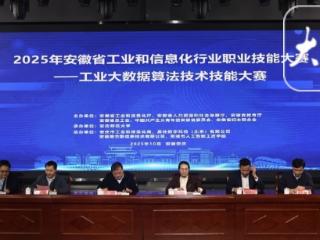 2025年安徽工业大数据算法技术技能大赛开赛