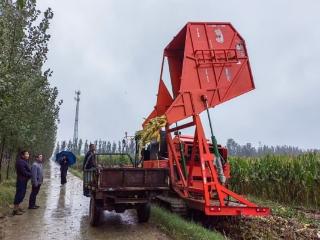 商河县：先锋护航战阴雨 干群同心保归仓