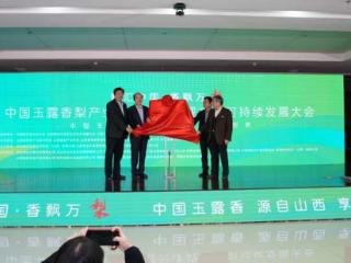 首届全国玉露香梨产业大会在龙城太原召开