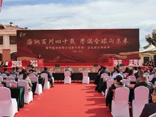 从“产品出海”到“标准出海”，潍坊高密引领安防产业升级新突破