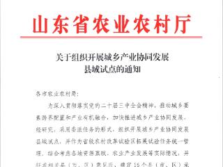 潍坊安丘入选全省城乡产业协同试点