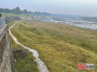 记者带你探访大运河：油坊码头百年风华 运河险工水利智慧