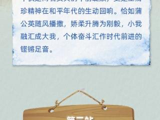 青春华章丨蒲公英的青春日记