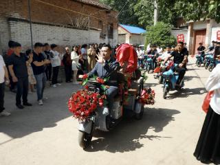 从“一处美”到“一片和”：洛阳城乡共育文明花丨文明中国看河南