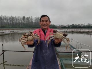 荒塘变“金塘” 肥东蟹农带动乡邻家门口就业