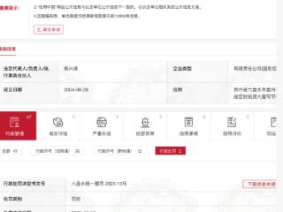 贵州宏财投资集团有限责任公司因虚开增值税发票被罚30万元