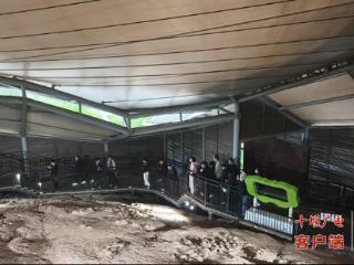 东风日产团队探秘郧阳恐龙世界