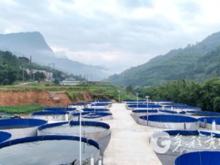 赤水市石堡乡：一池活水滋养一方好鱼
