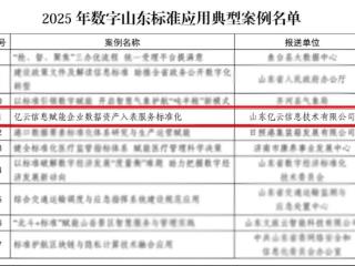 亿云信息案例成功入选2025年数字山东标准应用典型案例