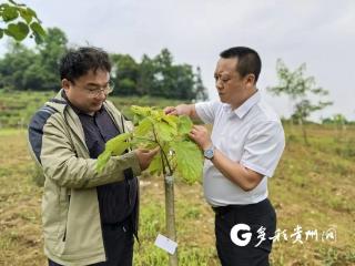 劳模风采 | 盛永贵：深耕林业沃土 书写绿色华章