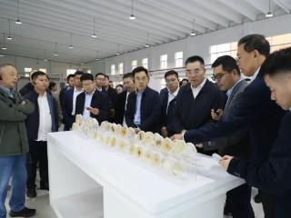 探寻创业密码，临沂市举办高层次人才创业能力提升培训班