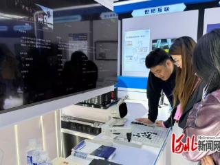 河北唯一！“AI乐亭”亮相2025中国国际数字经济博览会
