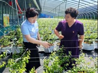 金融活水润港城：中国人寿烟台分公司绘就普惠金融温暖画卷