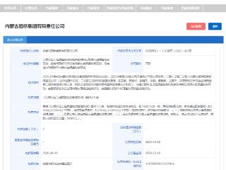 因这些违法事实，内蒙古路桥集团收罚单