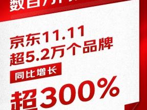 超十种创新业态！数百万门店联动！ 京东11.11超5.2万个品牌同比增长超300%