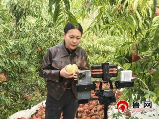 电商带火家乡味！德州天衢新区赵虎镇搭上“数字快车”推进电商助农