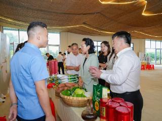 聚侨力、兴乡村、赋新能！增城这场活动为侨助高质量发展提质增效