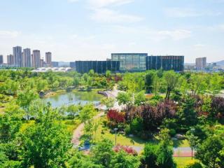 日照高新区：城市“新颜值” 绘就宜居新生活