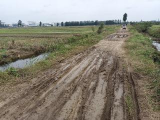 水渠涵管堵塞致农田变“涝池”，柳杭头社区村民秋种无望