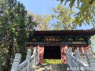 杠赛来！泰安玉泉寺初秋渐入佳境，古寺、银杏、热茶，慢享初秋时光