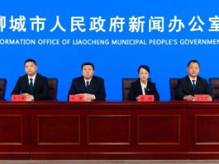 聊城抓好青年群体就业工作，促进高校毕业生实现高质量充分就业