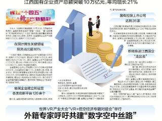 世界VR产业大会“VR+低空经济专题对接会”举行
