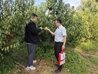 济南农商银行：金融添力丰收季