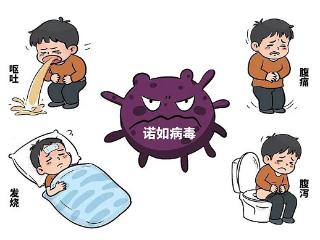 【健康科普】秋冬诺如病毒来临，科学防护是关键！