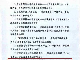青岛平度：新河镇“指间大象IP”入选山东省非遗IP应用案例