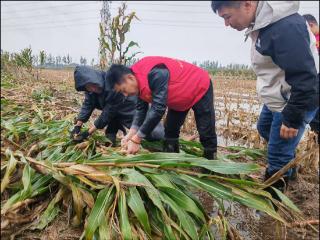 永安保险德州中支多措并举做好农险服务