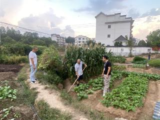上饶市信州区茅家岭街道：禁烧秸秆，护好蓝天与良田