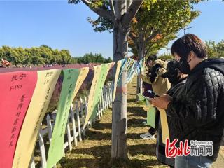 秦皇岛市抚宁区图书馆举办枫林市集谜语竞猜活动