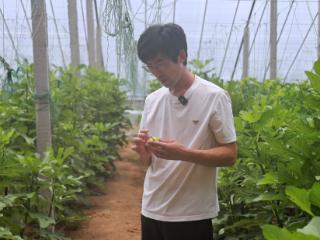李国敬：兴趣与专业成为事业，新农人唱响田园歌