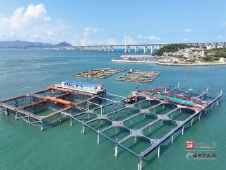 县在发生｜“海上福州”传佳音 “航宁2号”年底建成！