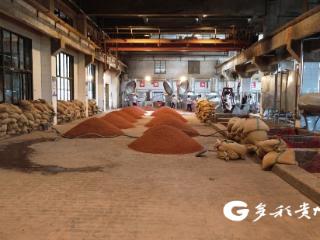 仁怀：重阳下沙正当时 恪守工艺酿造忙