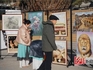 尚义县南壕堑镇百姓艺术展开幕