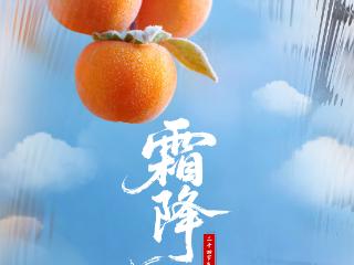 二十四节气·霜降｜暮秋寒至 露结为霜