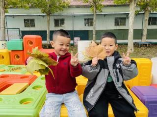 霜叶染秋意，童趣迎霜降——东营市利津县北宋镇中心幼儿园开展霜降节气主题活动