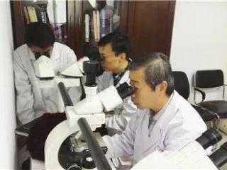广东夫妇跨越千里找对人！孙建方教授让罕见皮肤病“有医可依”
