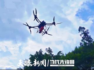南盘江国有林场有支“懂”山火的“空中护卫队”