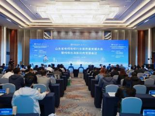 山东省电线电缆行业高质量发展大会暨线缆出海新风向发展会议在济南举行