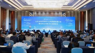 山东省电线电缆行业高质量发展大会暨线缆出海新风向发展会议在济南举行