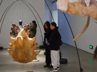 “回旋镖——新一代青年艺术研究展”开展