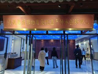 传统医技“满天星”齐聚校园！“师带徒”传承非遗精髓丨中意中国 一草一世界