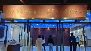 传统医技“满天星”齐聚校园！“师带徒”传承非遗精髓丨中意中国 一草一世界