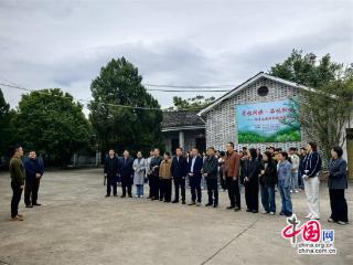 徽茶探源：解锁知名徽茶传承与创新的双重密码